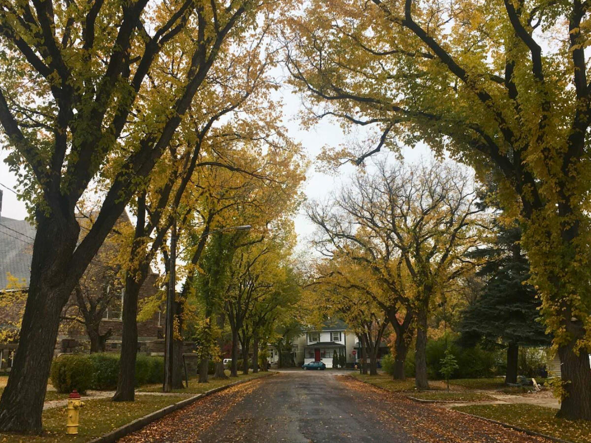 Street Outside of Church